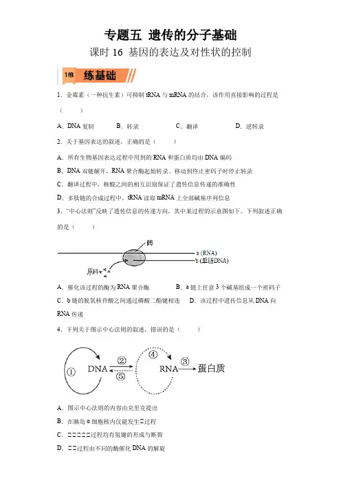 课时16基因的表达及对性状的控制-2023年高考生物一轮复习小题多维练(原卷版)