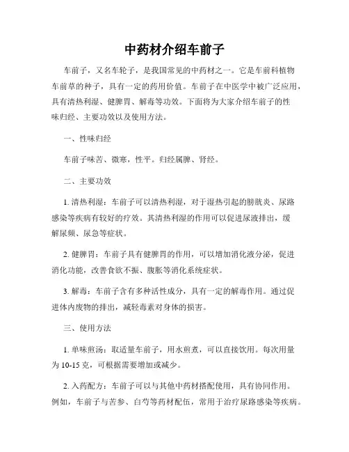中药材介绍车前子