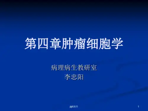 肿瘤细胞学  ppt课件