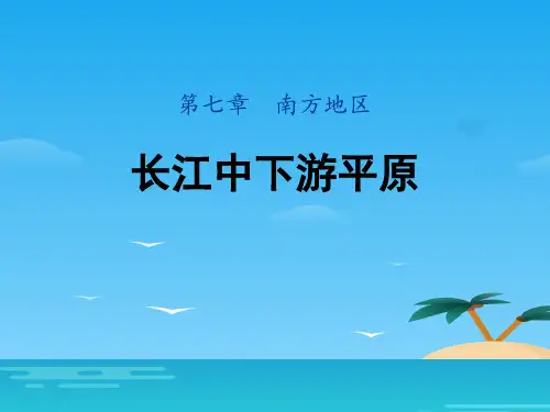 《长江中下游平原》PPT课件下载[优秀课件资料]