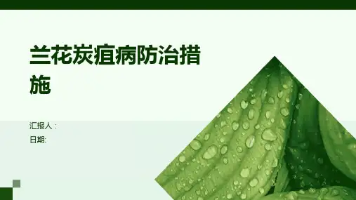 兰花炭疽病防治措施
