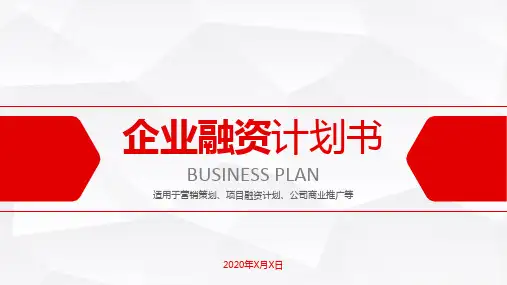 滴滴打车项目融资计划ppt