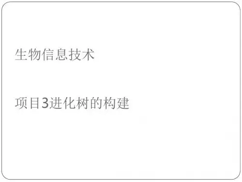 生物信息技术概述(PPT 129张)