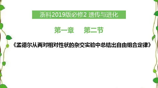 2.1.2孟德尔从两对性状的杂交实验中总结出自由组合定律课件课件-高一下学期生物浙科版必修二