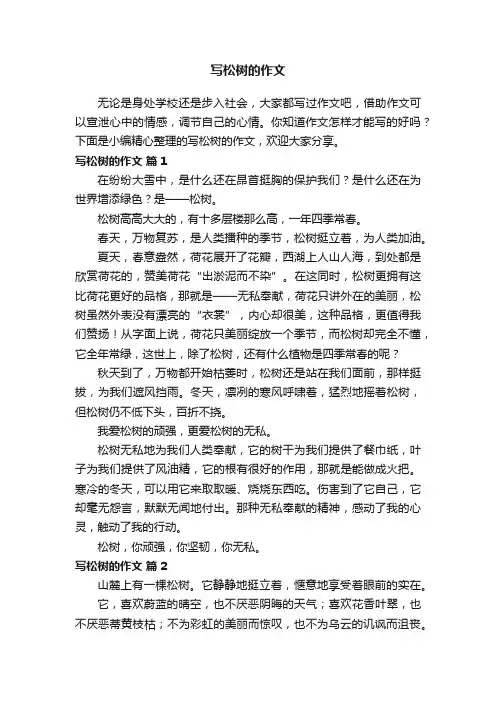 写松树的作文（精选47篇）
