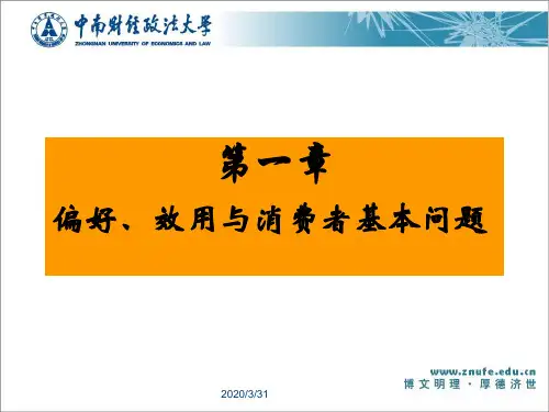第1章--偏好、效用与消费者的基本问题ppt课件