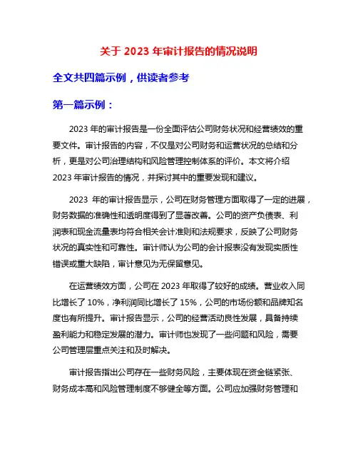 关于2023年审计报告的情况说明