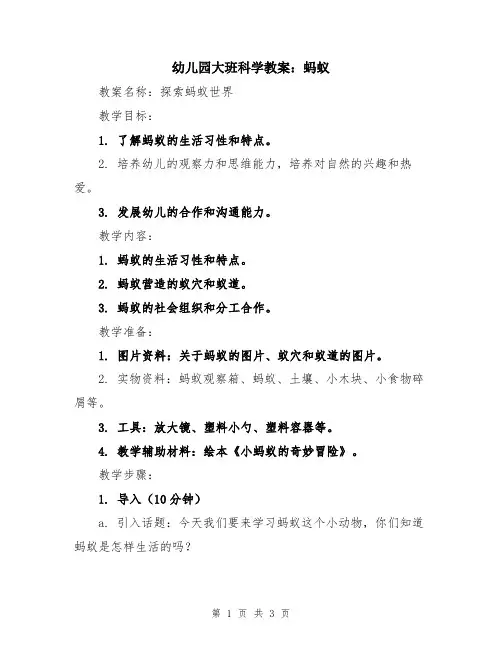 幼儿园大班科学教案：蚂蚁