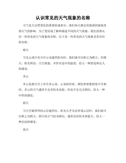 认识常见的天气现象的名称