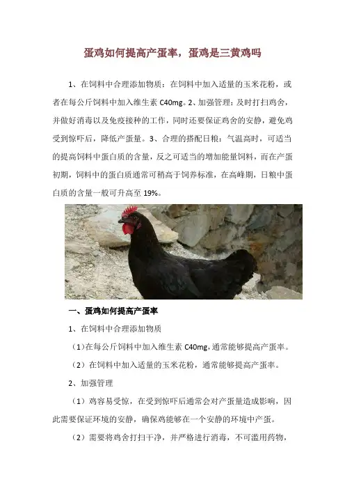 蛋鸡如何提高产蛋率,蛋鸡是三黄鸡吗