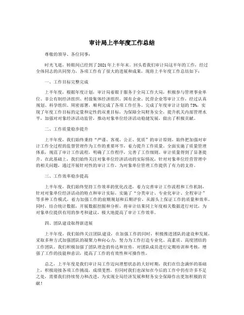 审计局上半年度工作总结