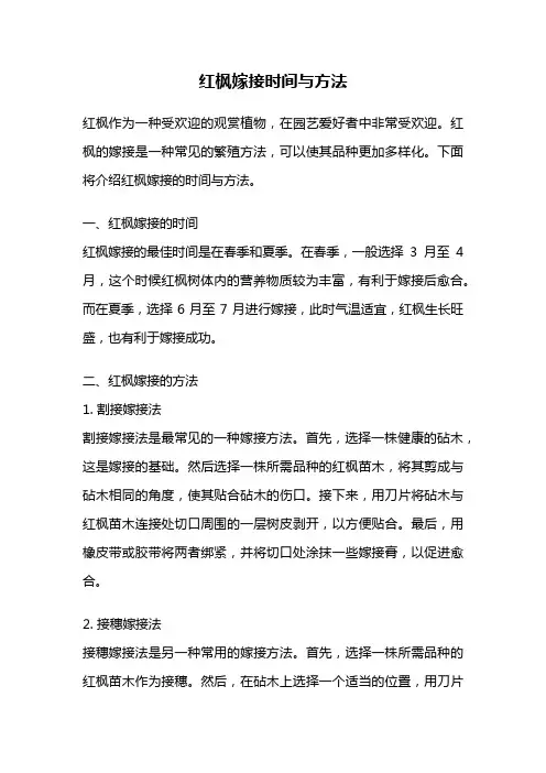 红枫嫁接时间与方法