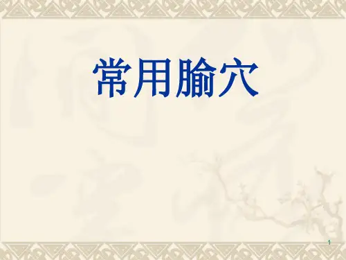 常用腧穴PPT课件