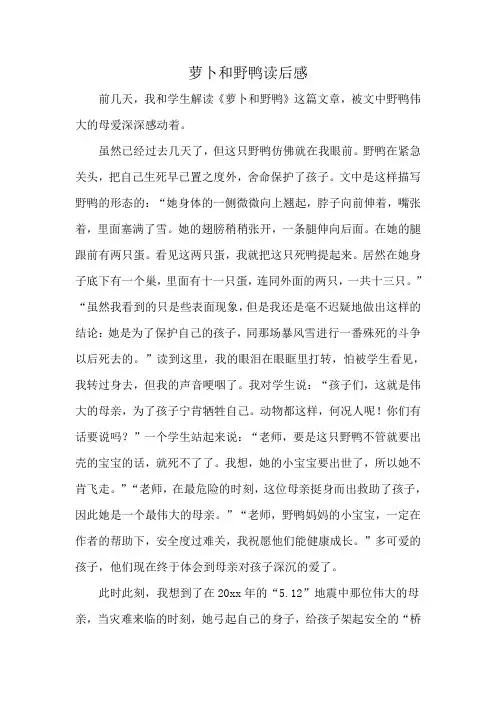 萝卜和野鸭读后感