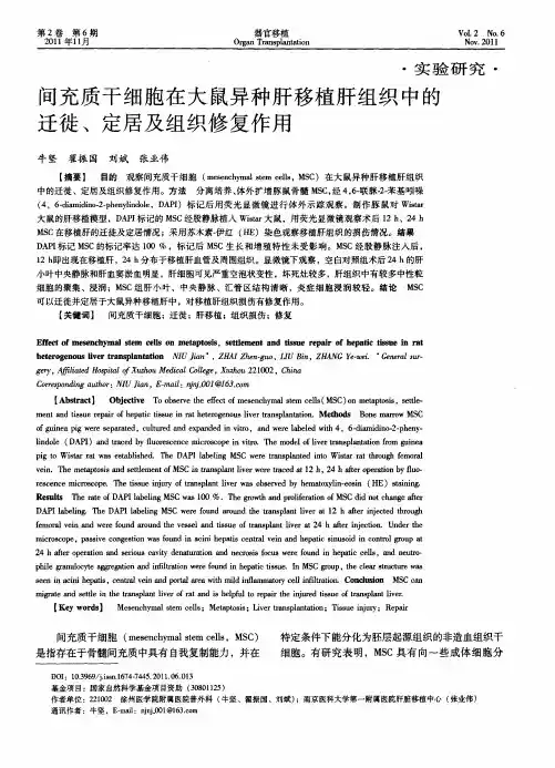 间充质干细胞在大鼠异种肝移植肝组织中的迁徙、定居及组织修复作用