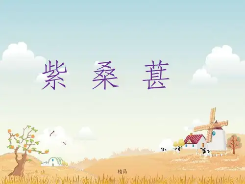 《紫桑葚》课件