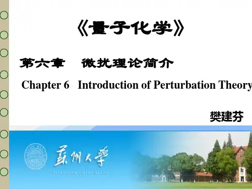第六章 微扰理论简介