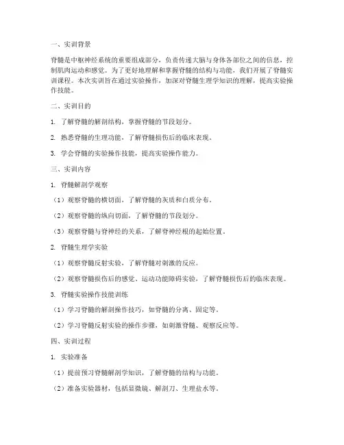 脊髓实训报告
