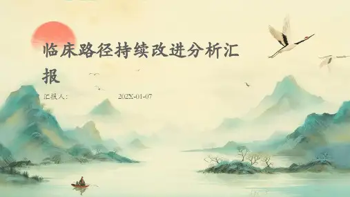 临床路径持续改进分析汇报
