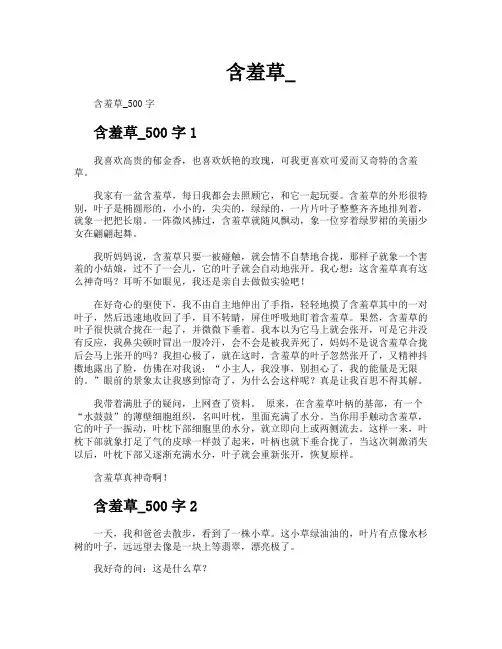 含羞草-专业文档!