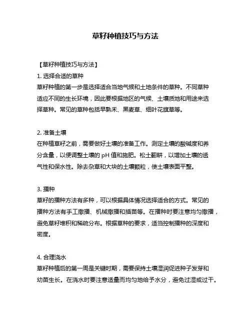 草籽种植技巧与方法