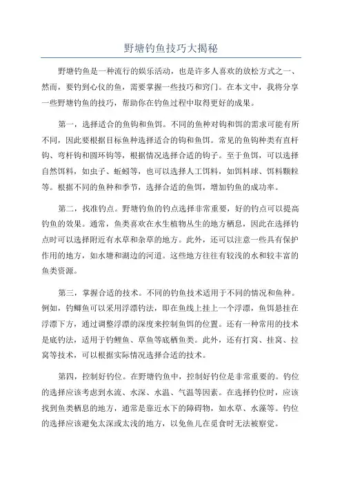 野塘钓鱼技巧大揭秘