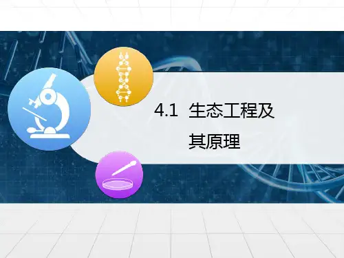 苏教版高中生物选修三4.1《生态工程及其原理》课件40张PPT