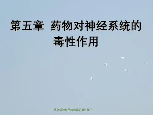 药物对神经系统造成的毒性作用