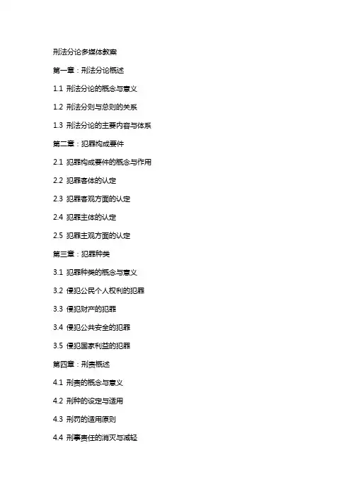 刑法分论多媒体教案