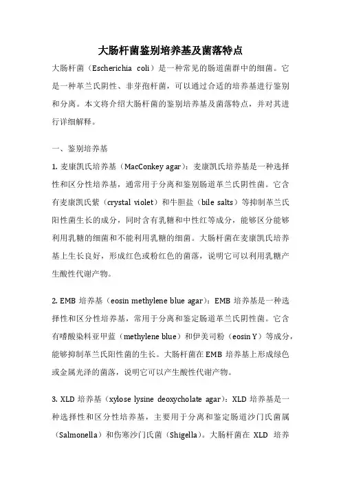 大肠杆菌鉴别培养基及菌落特点