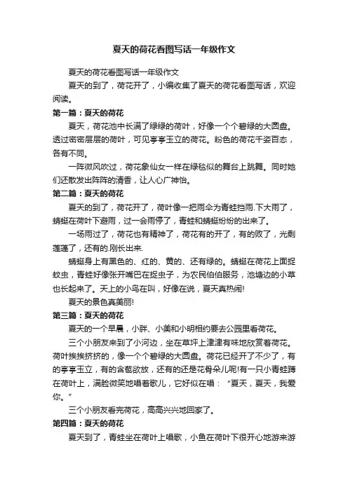 夏天的荷花看图写话一年级作文