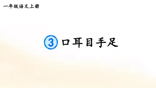 一年级语文上册3 口耳目手足教案