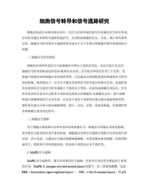 细胞信号转导和信号通路研究