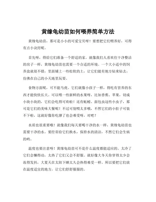 黄缘龟幼苗如何喂养简单方法