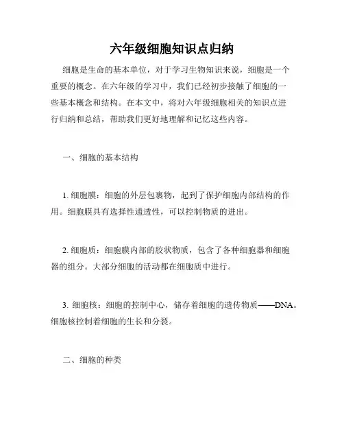 六年级细胞知识点归纳