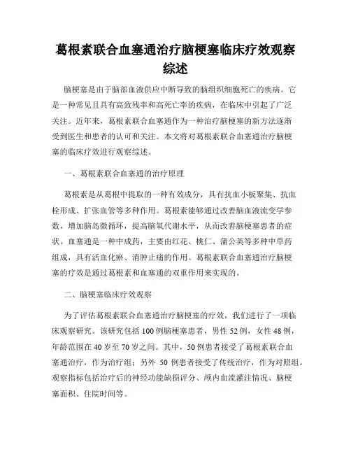 葛根素联合血塞通治疗脑梗塞临床疗效观察综述