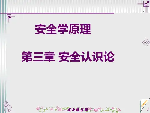 安全学原理讲义(PPT89页).pptx