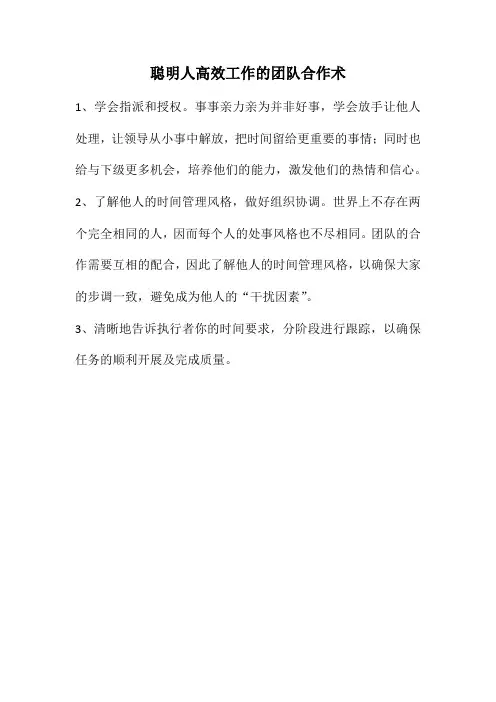 聪明人高效工作的团队合作术