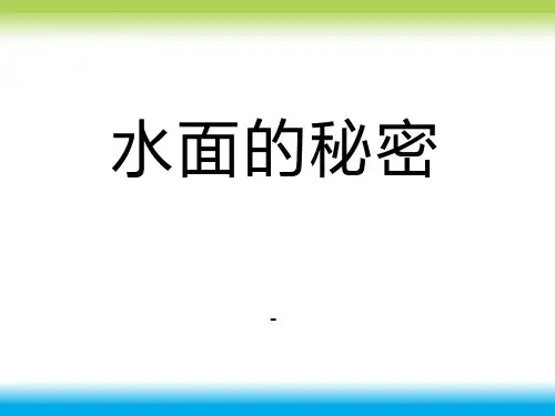 202X秋青岛版(五四制)科学三上4.4《水面的秘密》ppt课件