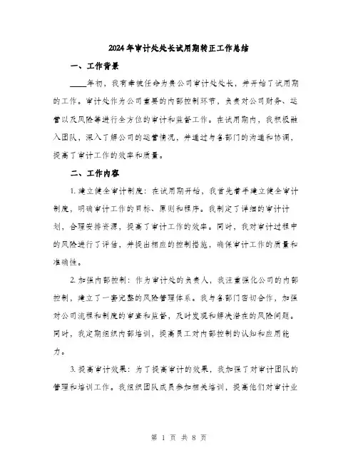 2024年审计处处长试用期转正工作总结(2篇)