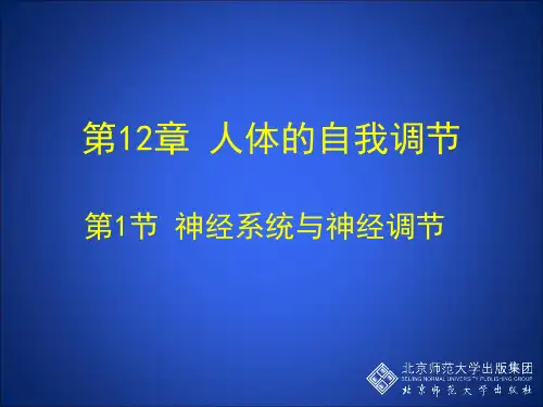 12神经系统与神经调节第1课时神经系统的组成和神经元的结构功能_PPT课件