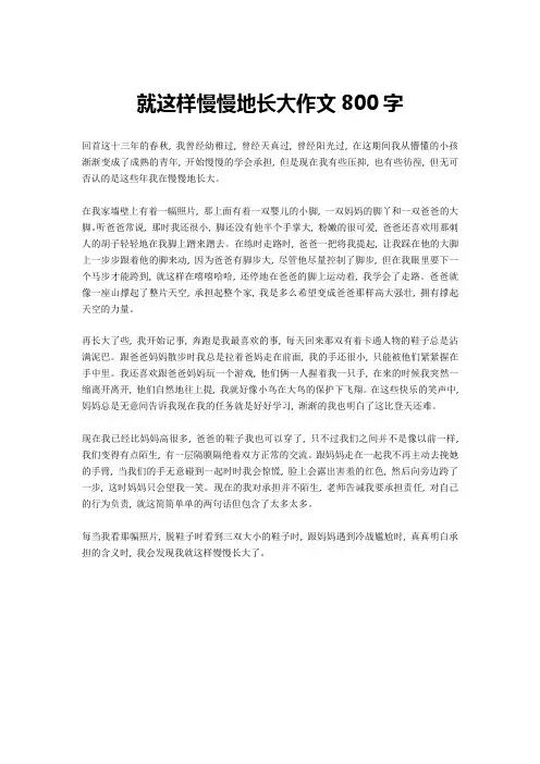 就这样慢慢地长大作文800字-5高分作文