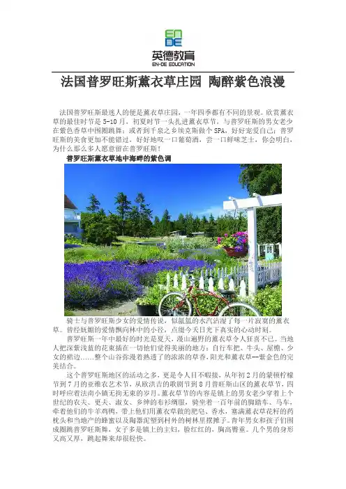 法国普罗旺斯薰衣草庄园 陶醉紫色浪漫