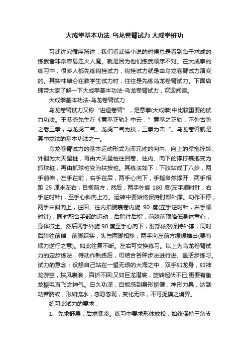 大成拳基本功法-乌龙卷臂试力大成拳桩功