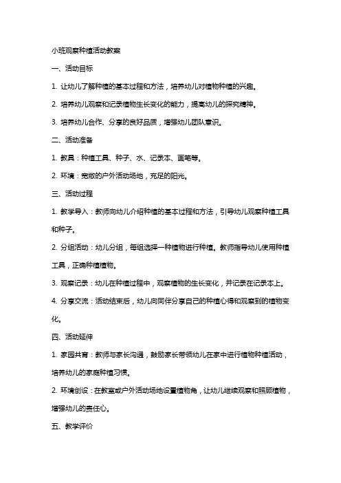 小班观察种植活动教案