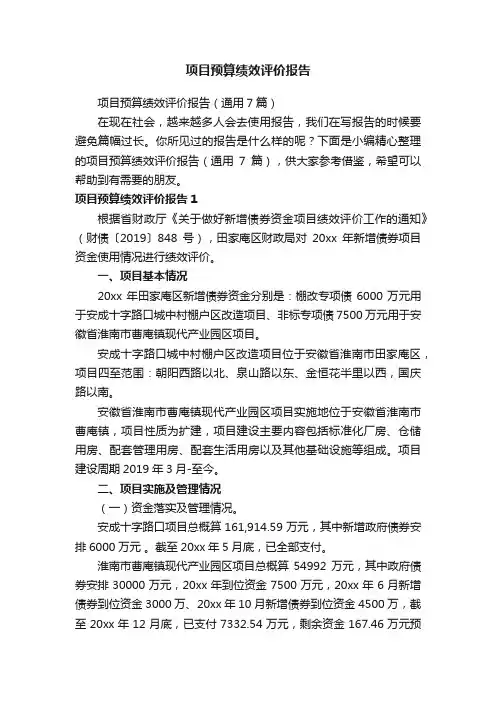 项目预算绩效评价报告（通用7篇）