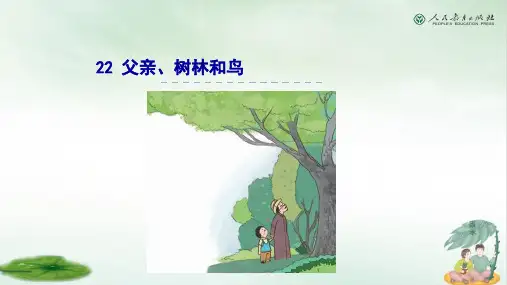 《父亲、树林和鸟》完美版(共25张PPT)
