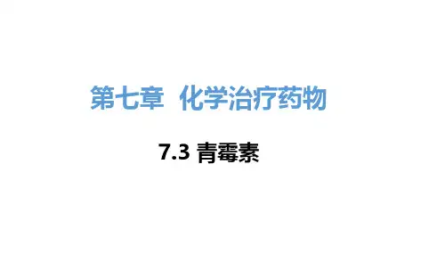 7.3 内酰胺类