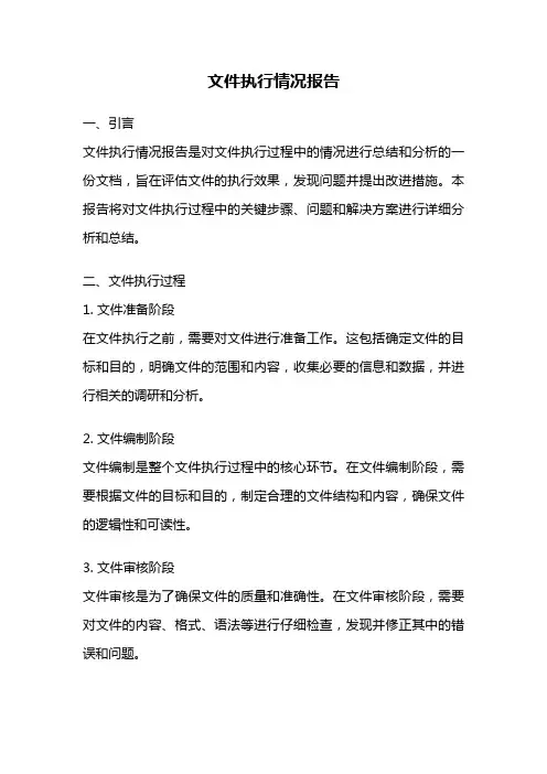 文件执行情况报告
