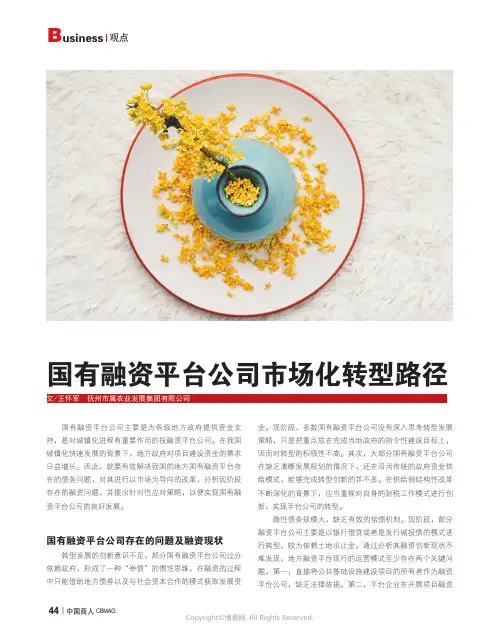 国有融资平台公司市场化转型路径